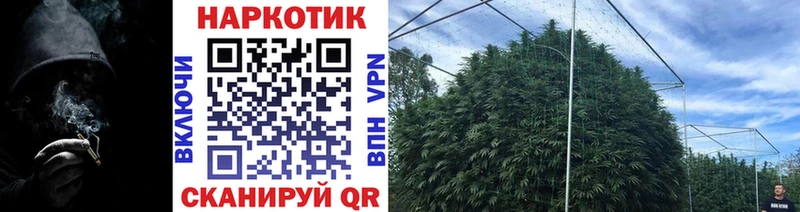 Купить наркотики Тюкалинск Бошки Шишки  Меф  Cocaine  Псилоцибиновые грибы  Гашиш 