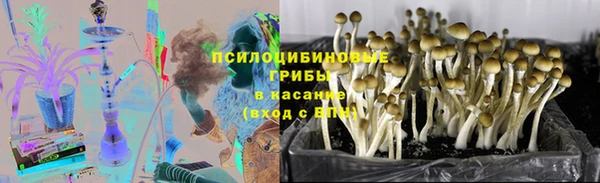 мескалин Арсеньев
